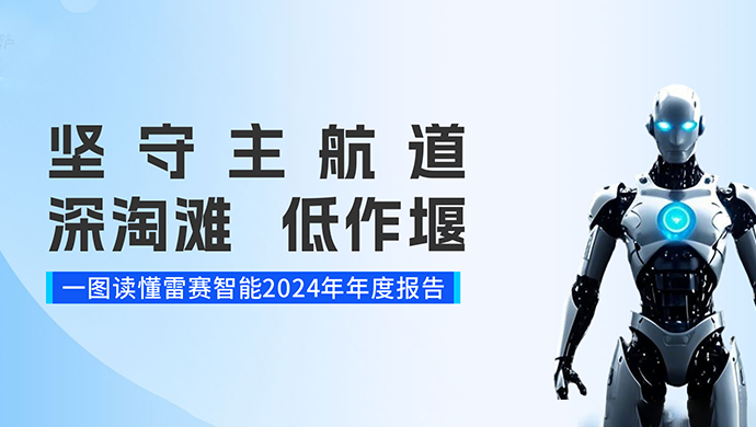 一图读懂雷赛智能2024年度报告